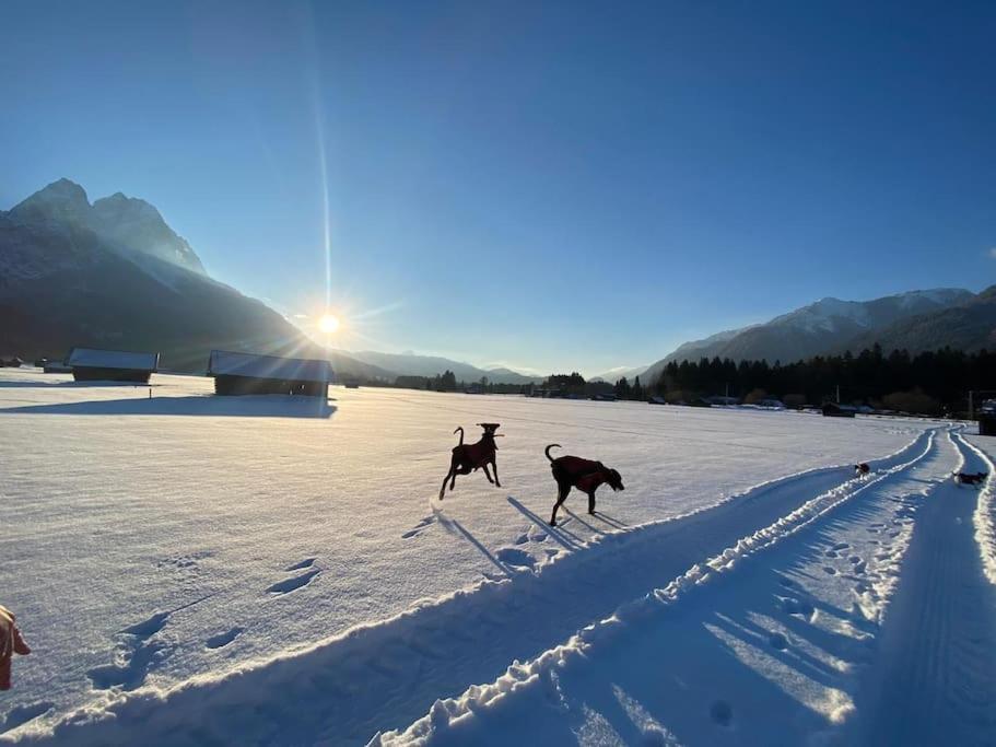 Zentral, ruhig&stilvoll mit Bergpanorama+ Garten Garmisch-Partenkirchen Esterno foto